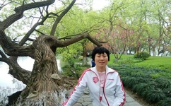 车上不可描述的运动